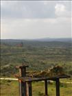 35 Bokor